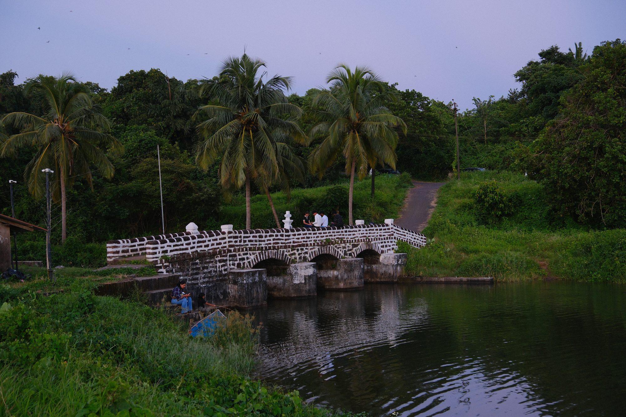 A whitewashed balustrade bridge crossing the backwater under coconut palms