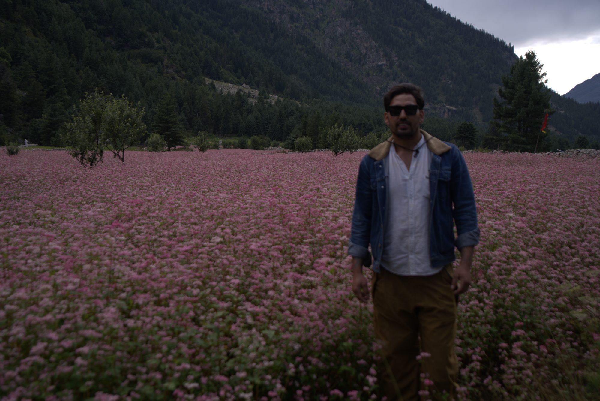 A walker standing in the pink buckwheat field below the mountains