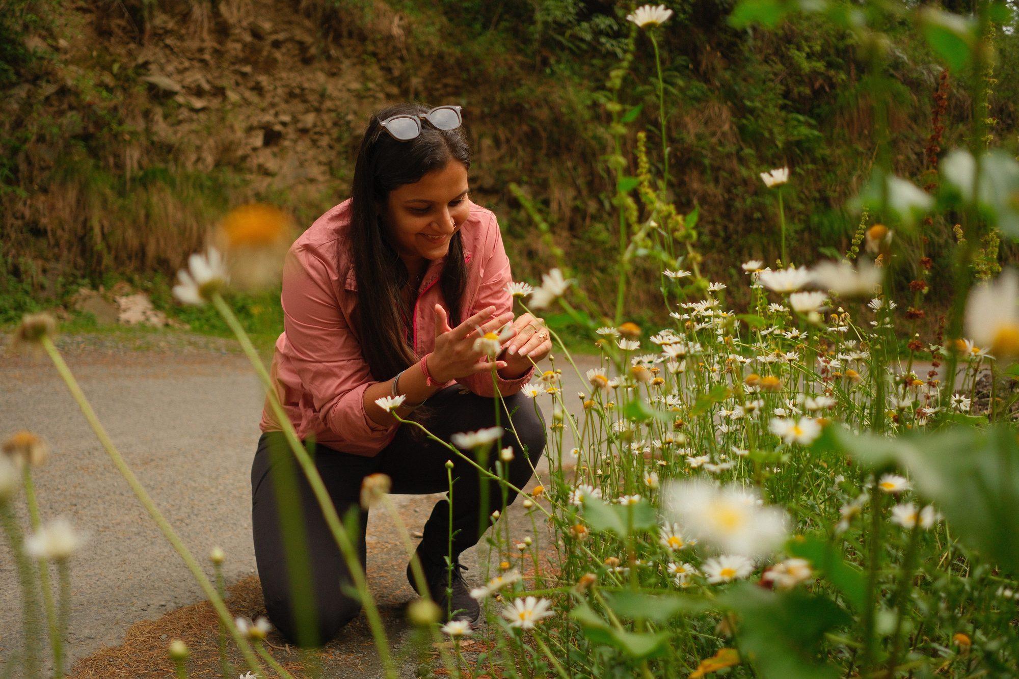 Wildflowers crowding the verge of the forest road
