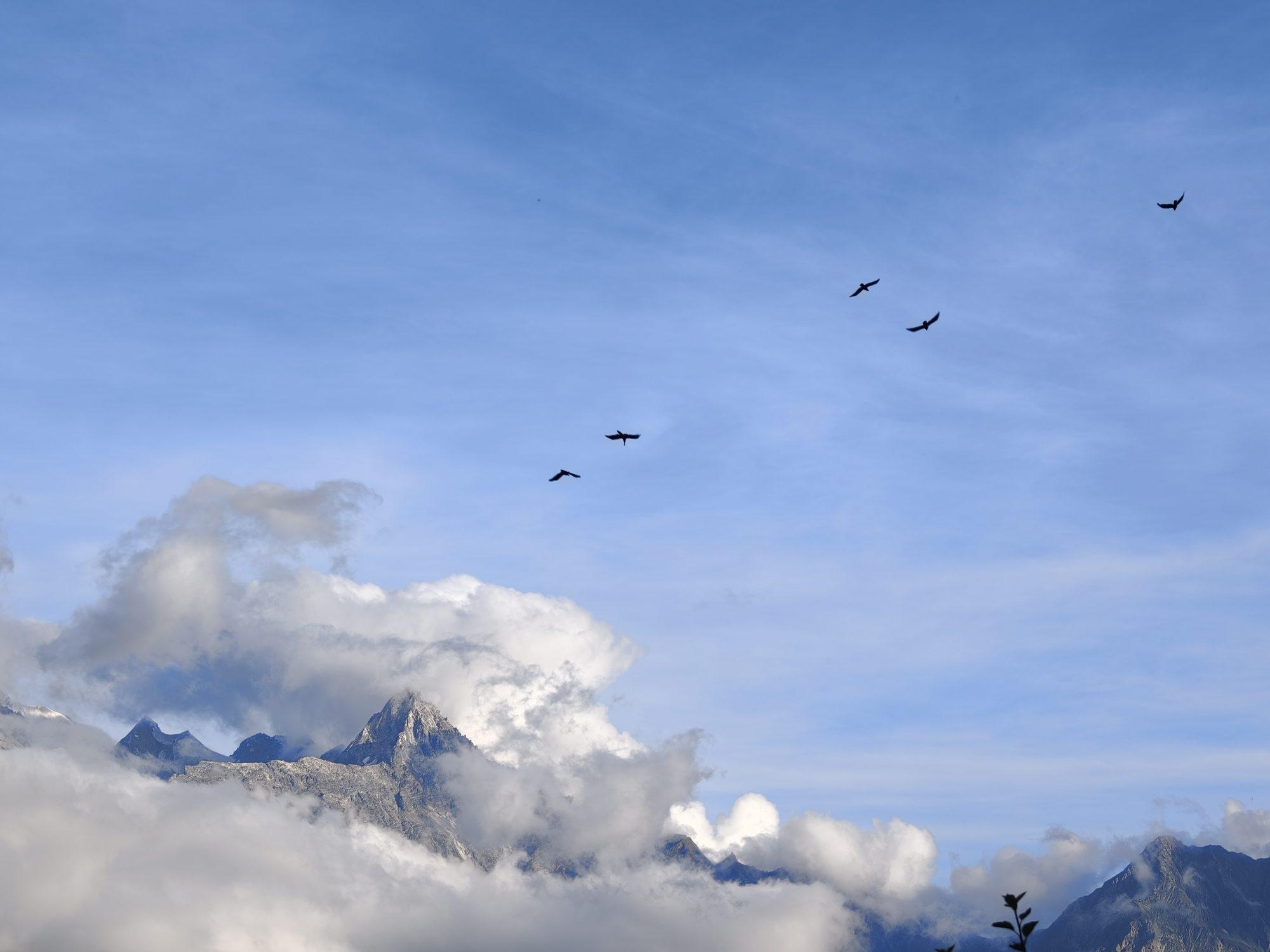 The spire showing through a break in the cumulus with raptors circling