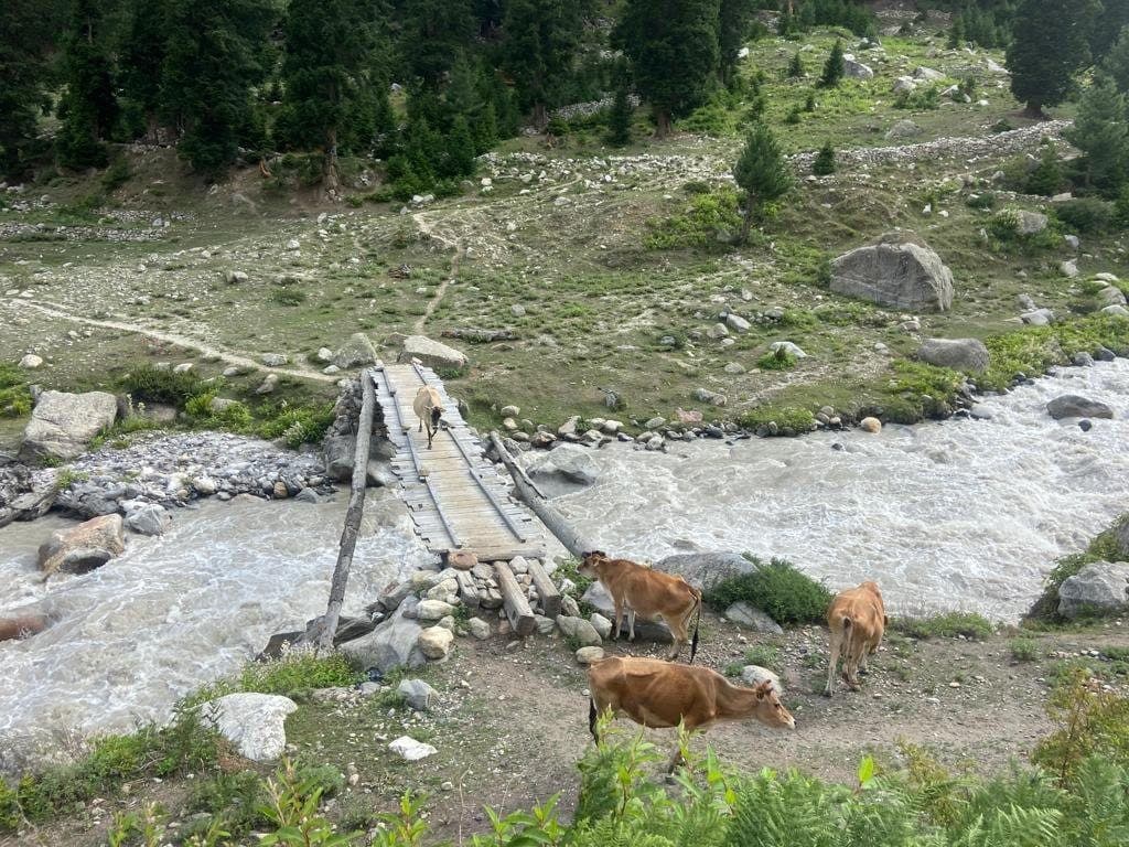 Day hike to Kashang