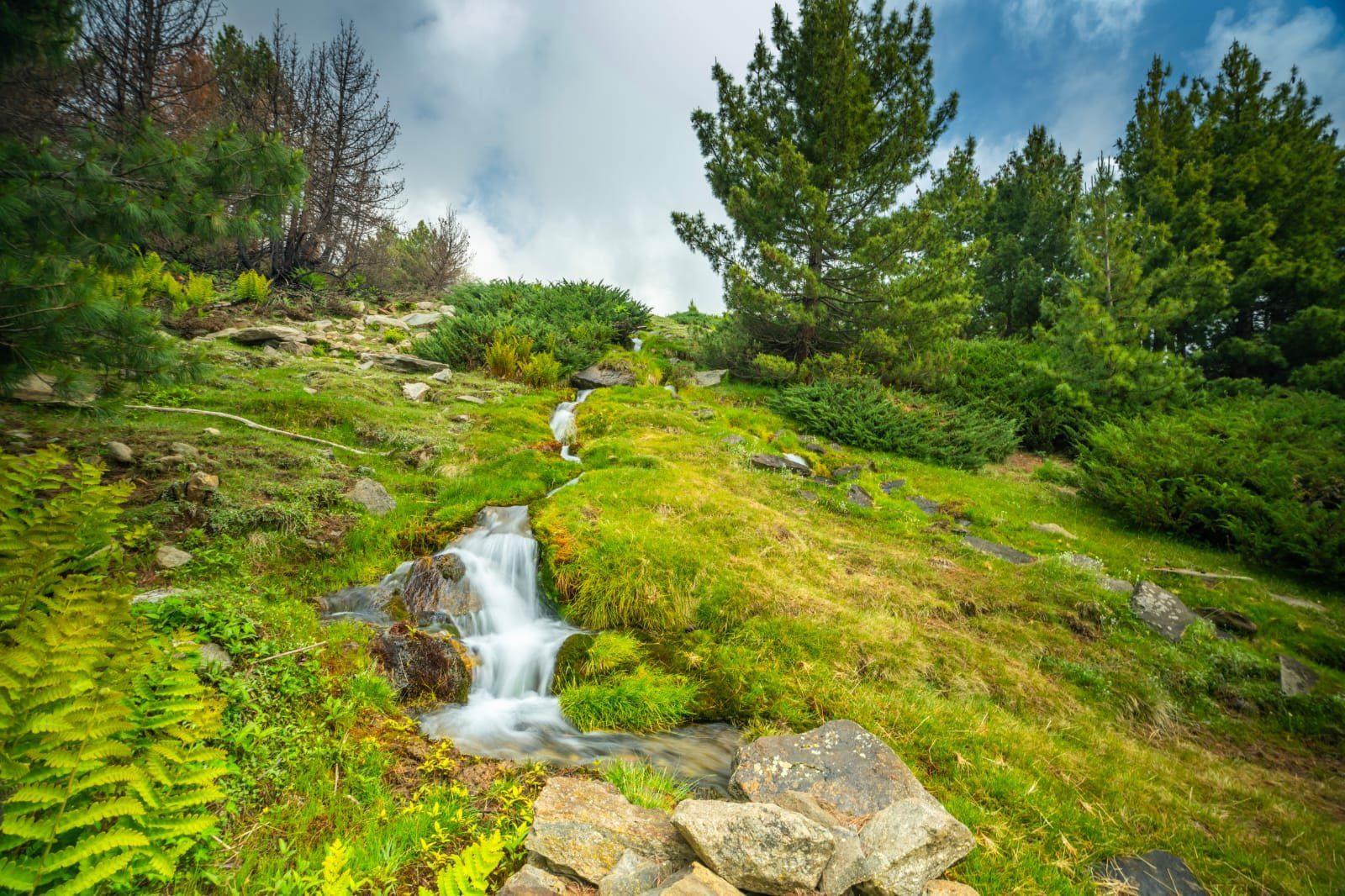 Day hike to Chakha Meadow