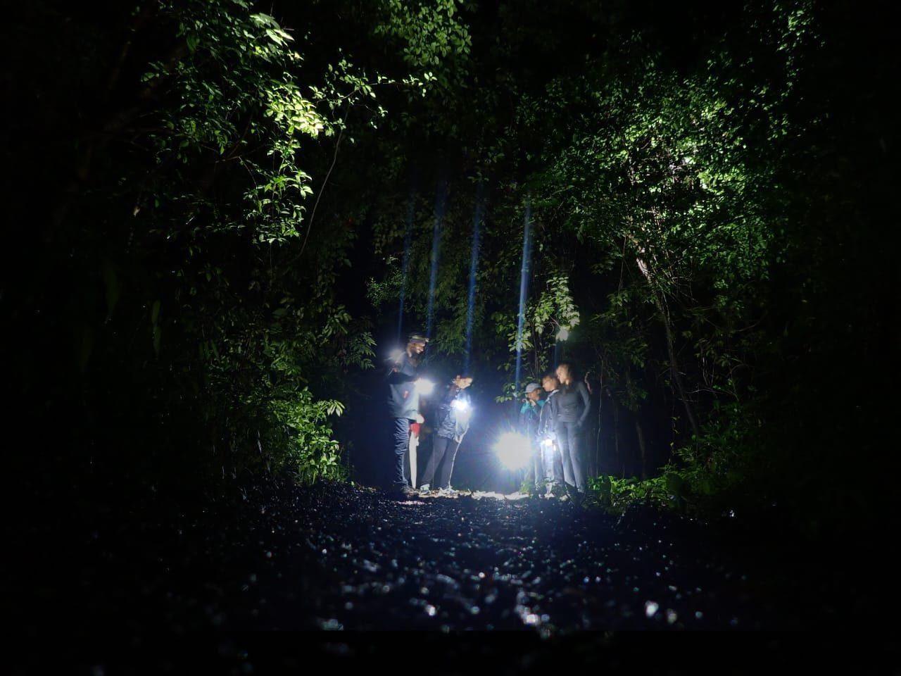 Nocturnal Plateau Walk (Guided)