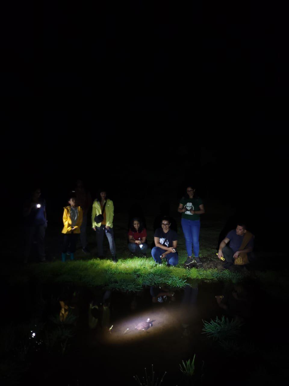 The group gathered with torches at the edge of a plateau pool