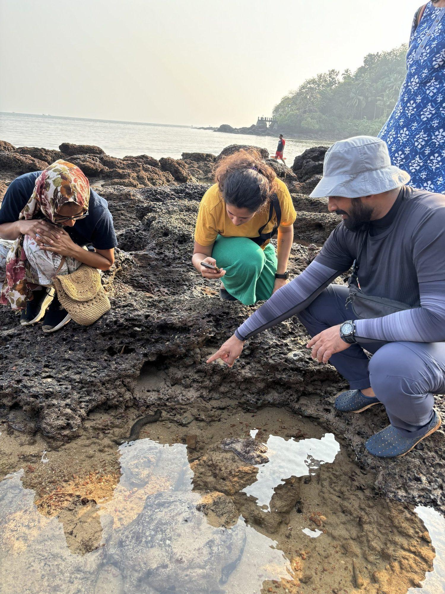 Tide Pooling with Marine Biologist