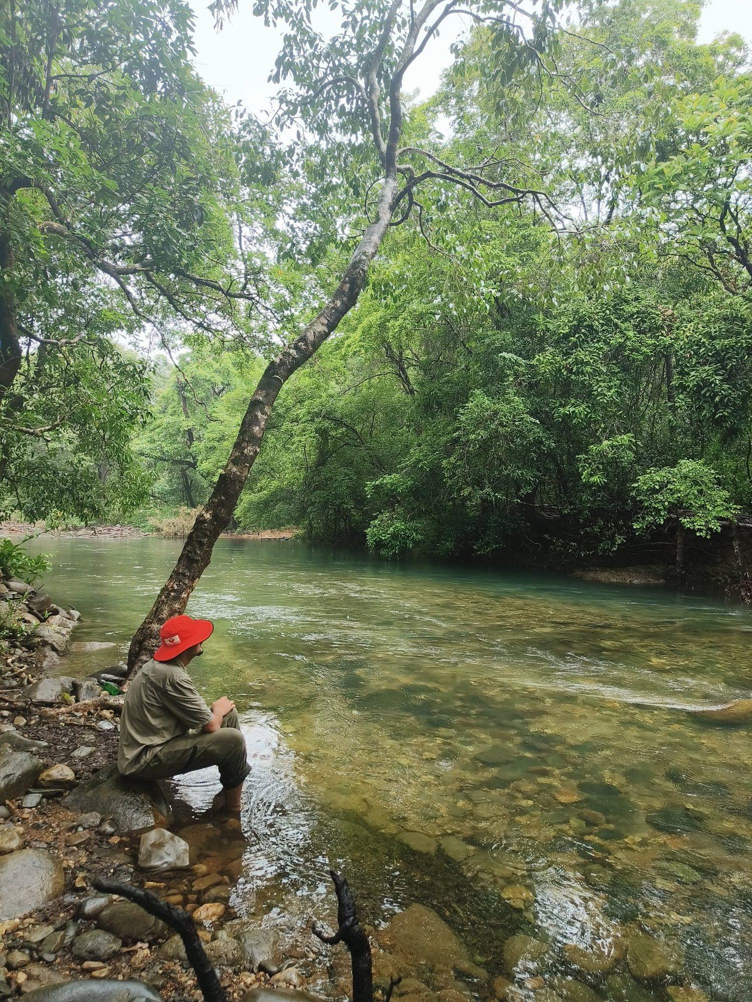 Hike to Plunge Pool in Dense Forest