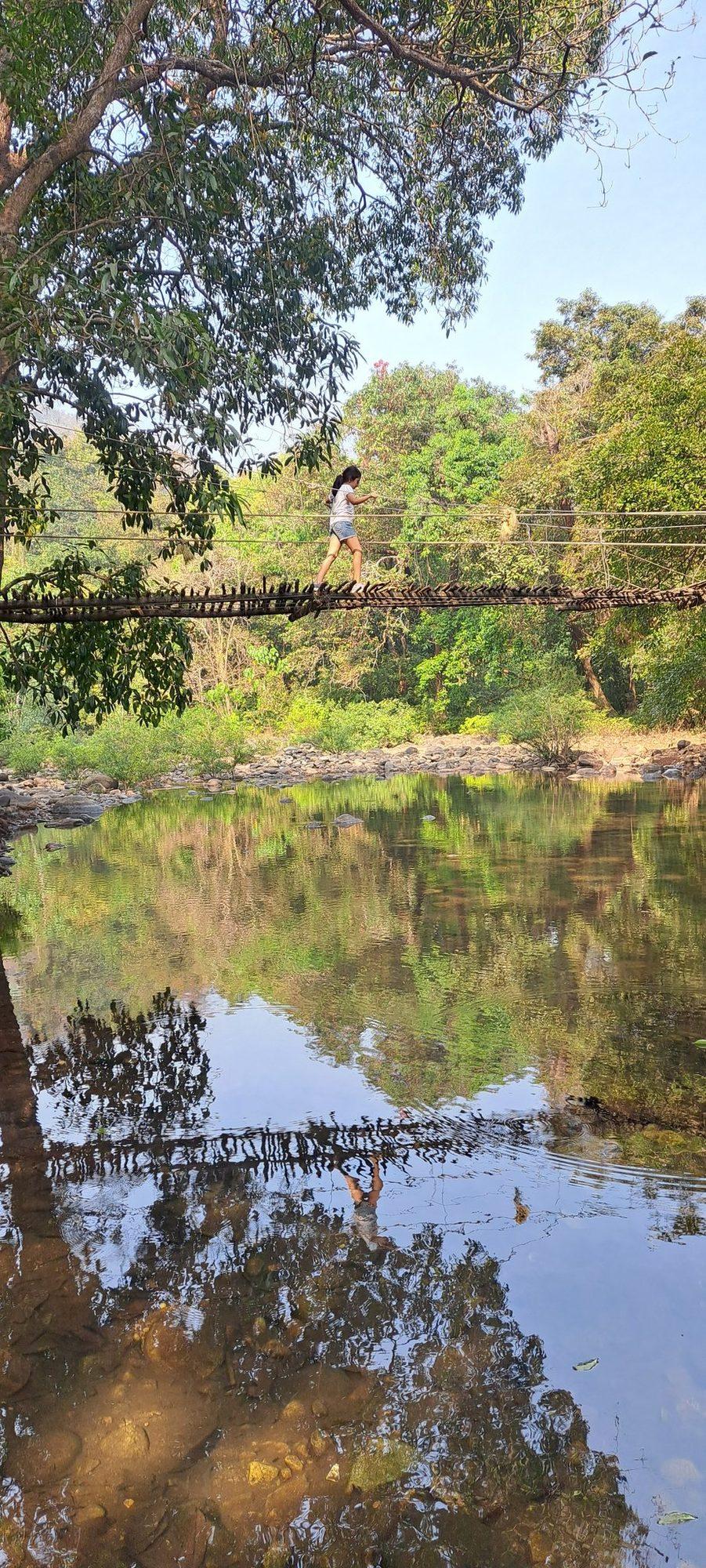 Hike to Plunge Pool in Dense Forest