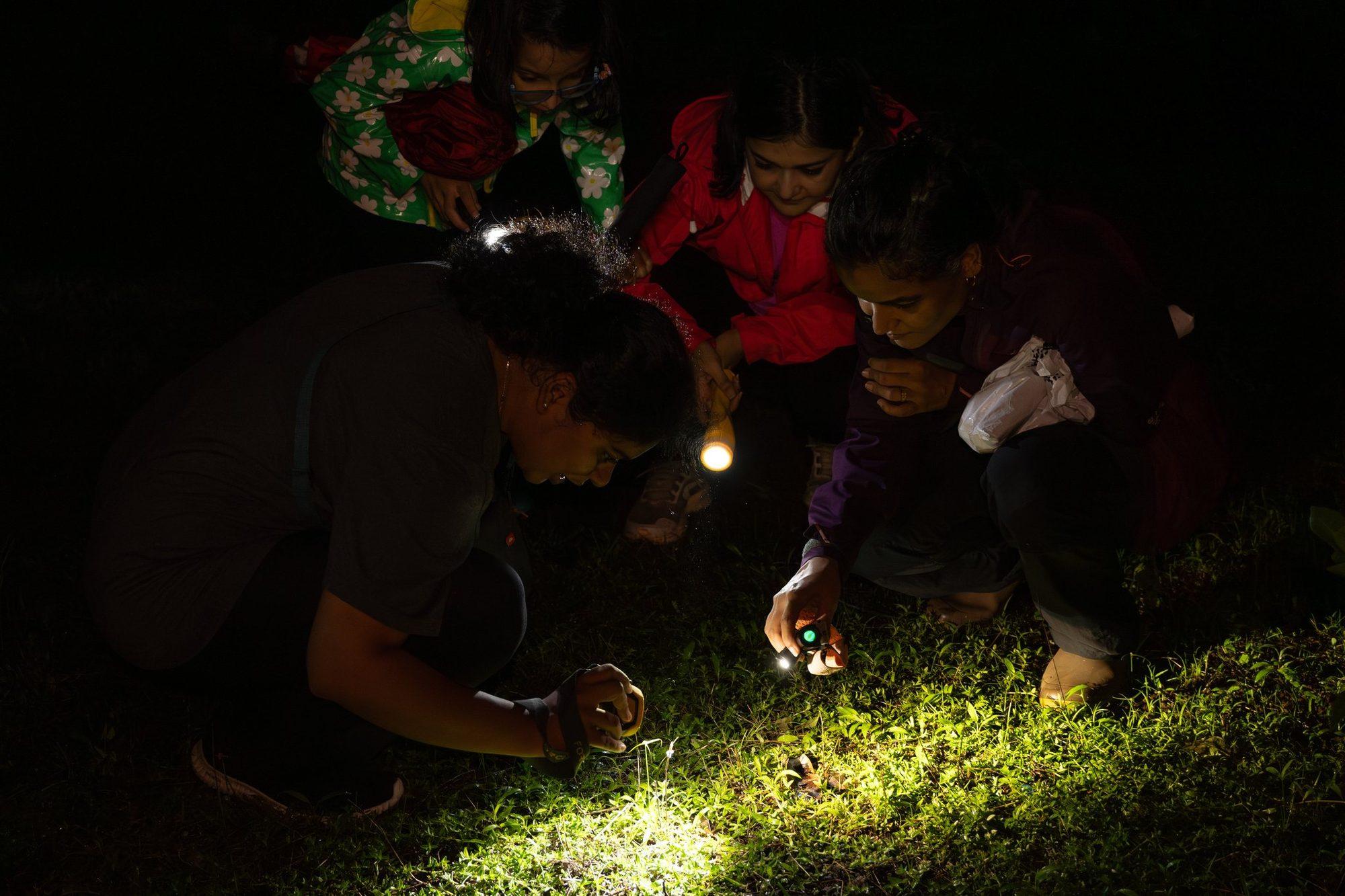 The Luminous Night Walk & Herping