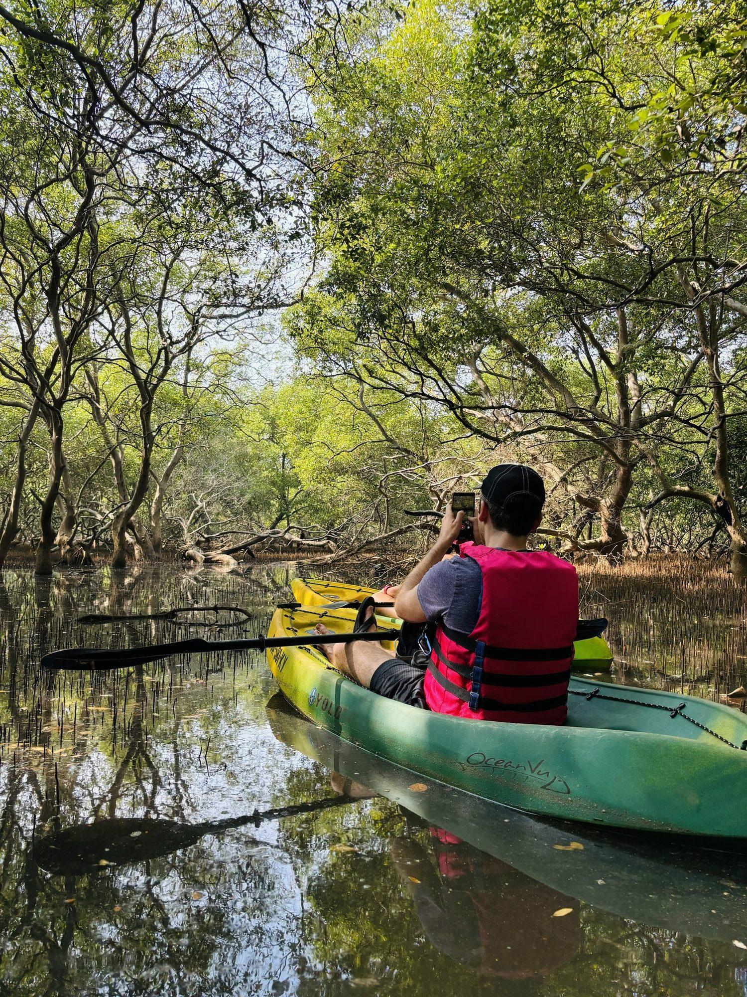 Kayaking in the Goa Mangroves