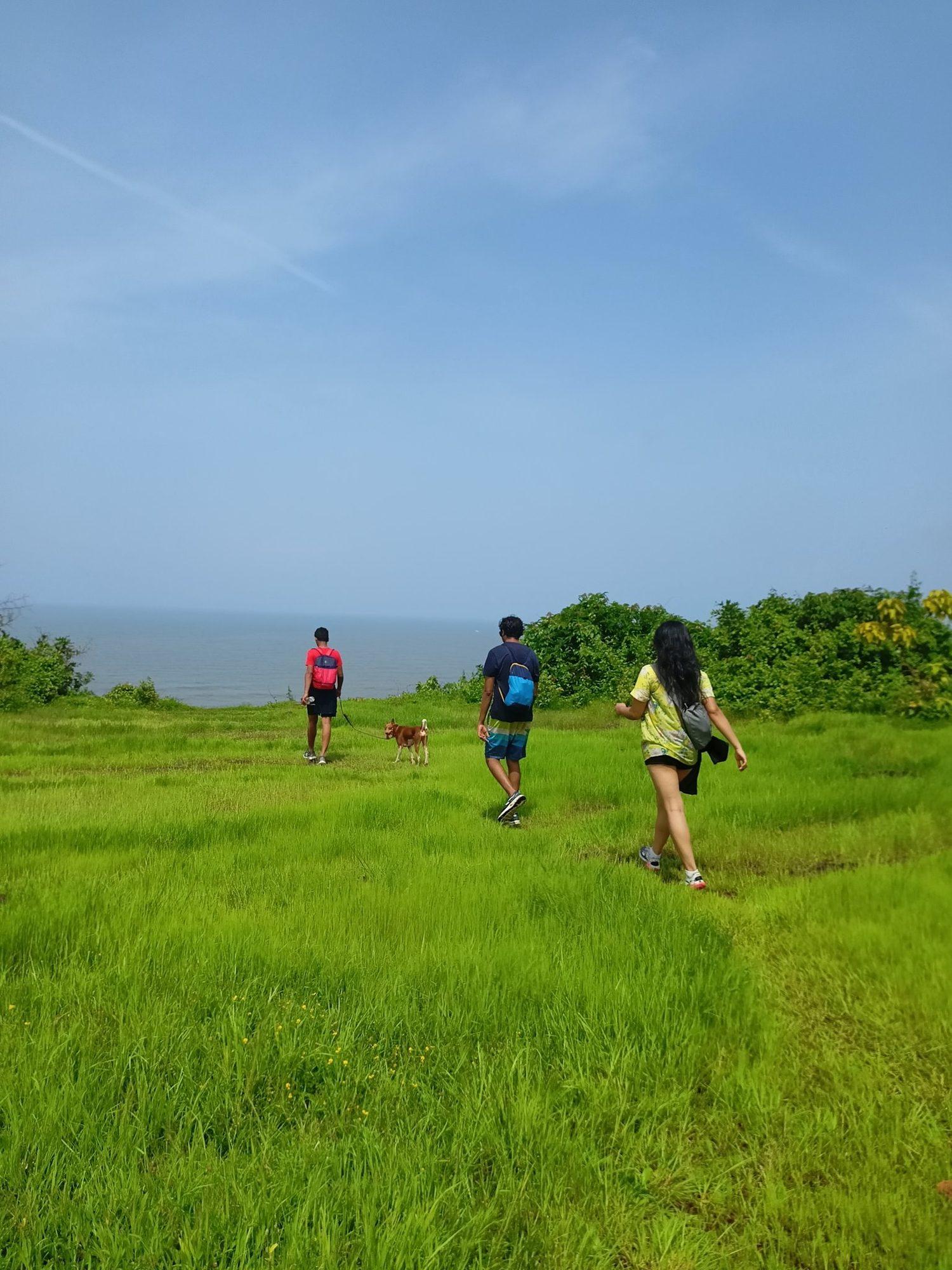 Sea Side Plateau Morning Hike