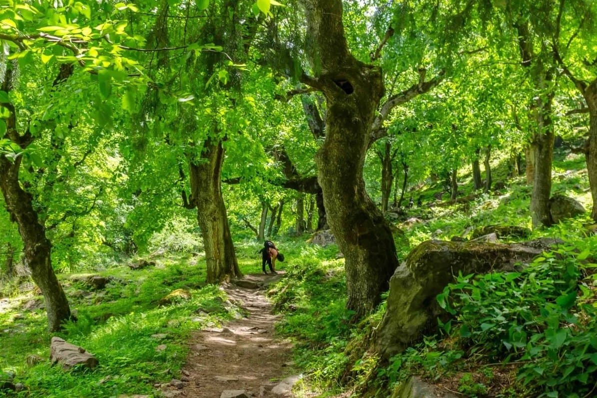 Kheerganga Trek Overnight (Guided)