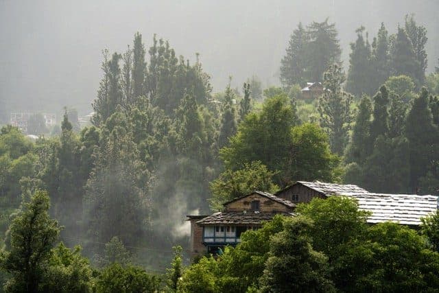 Under the Stars (Bhandak Thatch Camp)