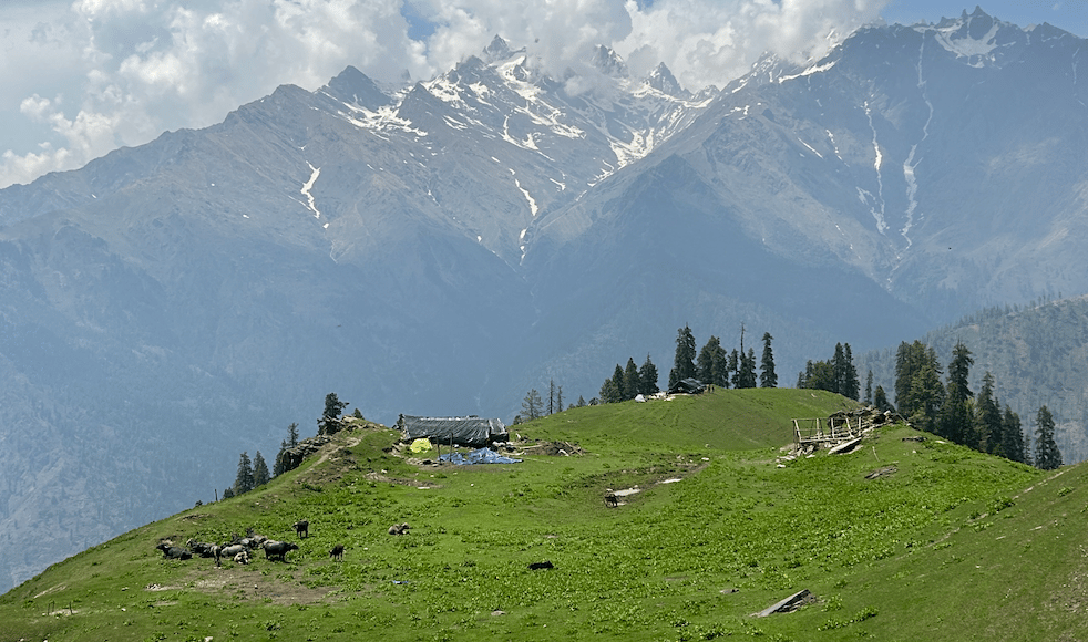 Freestyle Camping & Alpine Nights (Bunbuni Thatch)