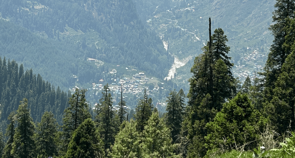 Freestyle Camping & Alpine Nights (Bunbuni Thatch)