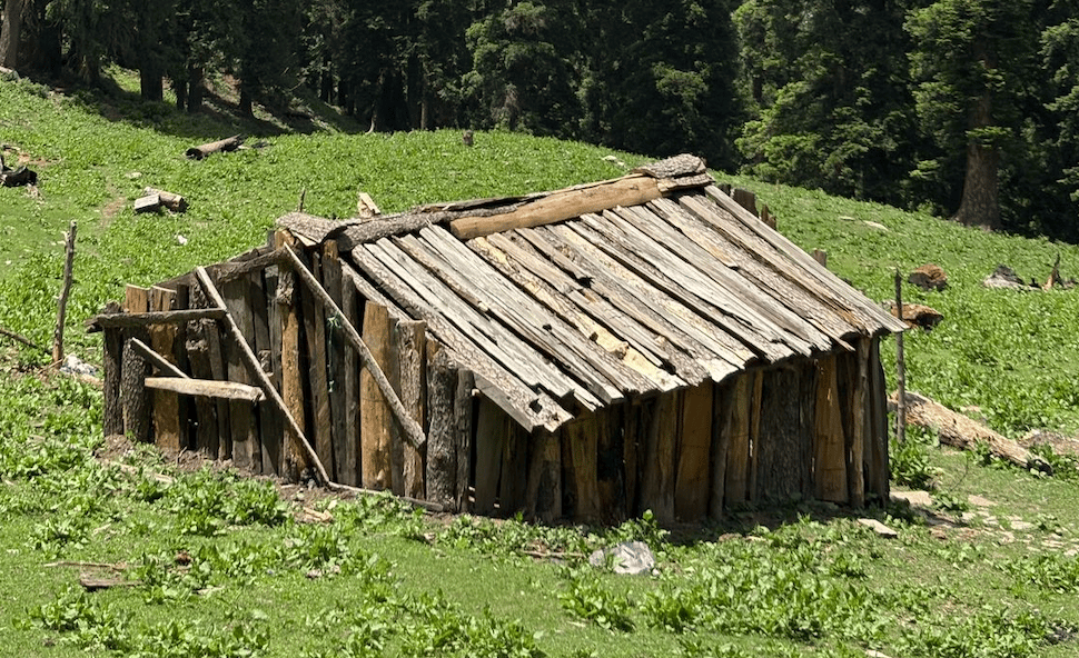 Freestyle Camping & Alpine Nights (Bunbuni Thatch)
