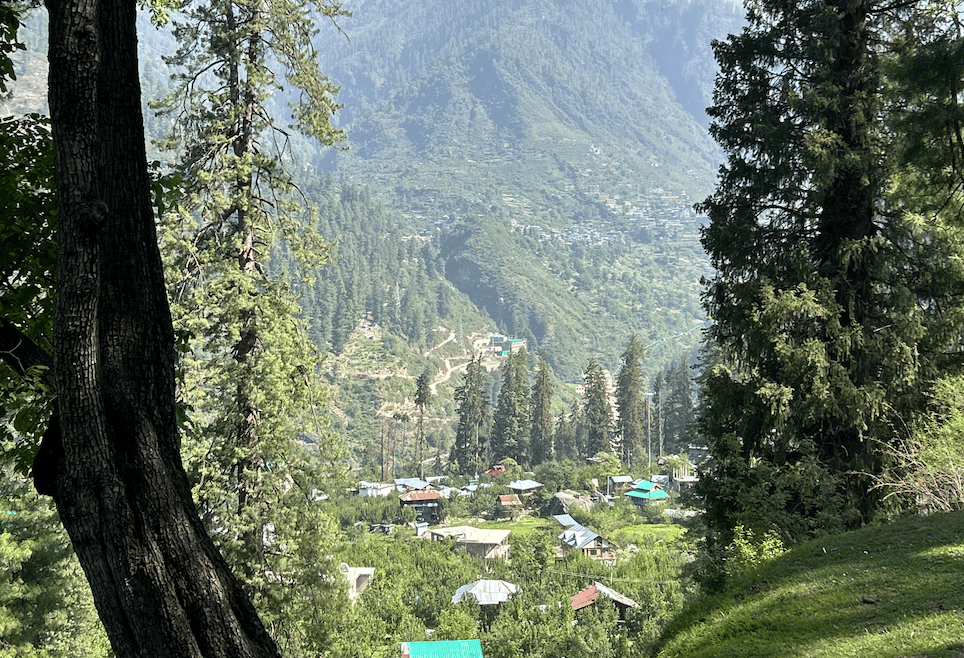 Freestyle Camping & Alpine Nights (Bunbuni Thatch)