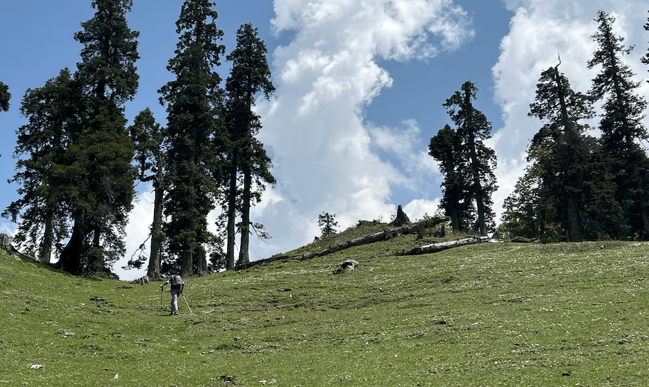 Freestyle Camping & Alpine Nights (Bunbuni Thatch)