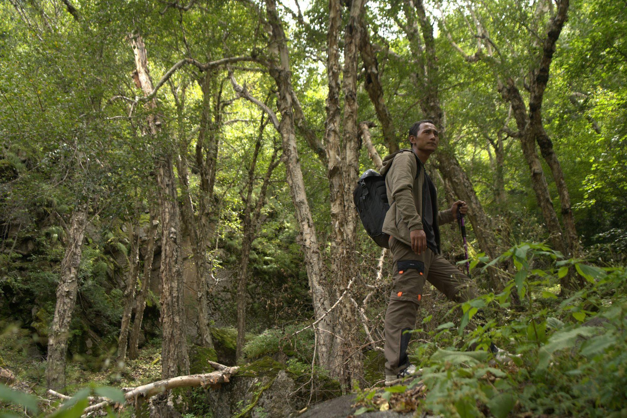 Day Hike to Batseri from Rakchham