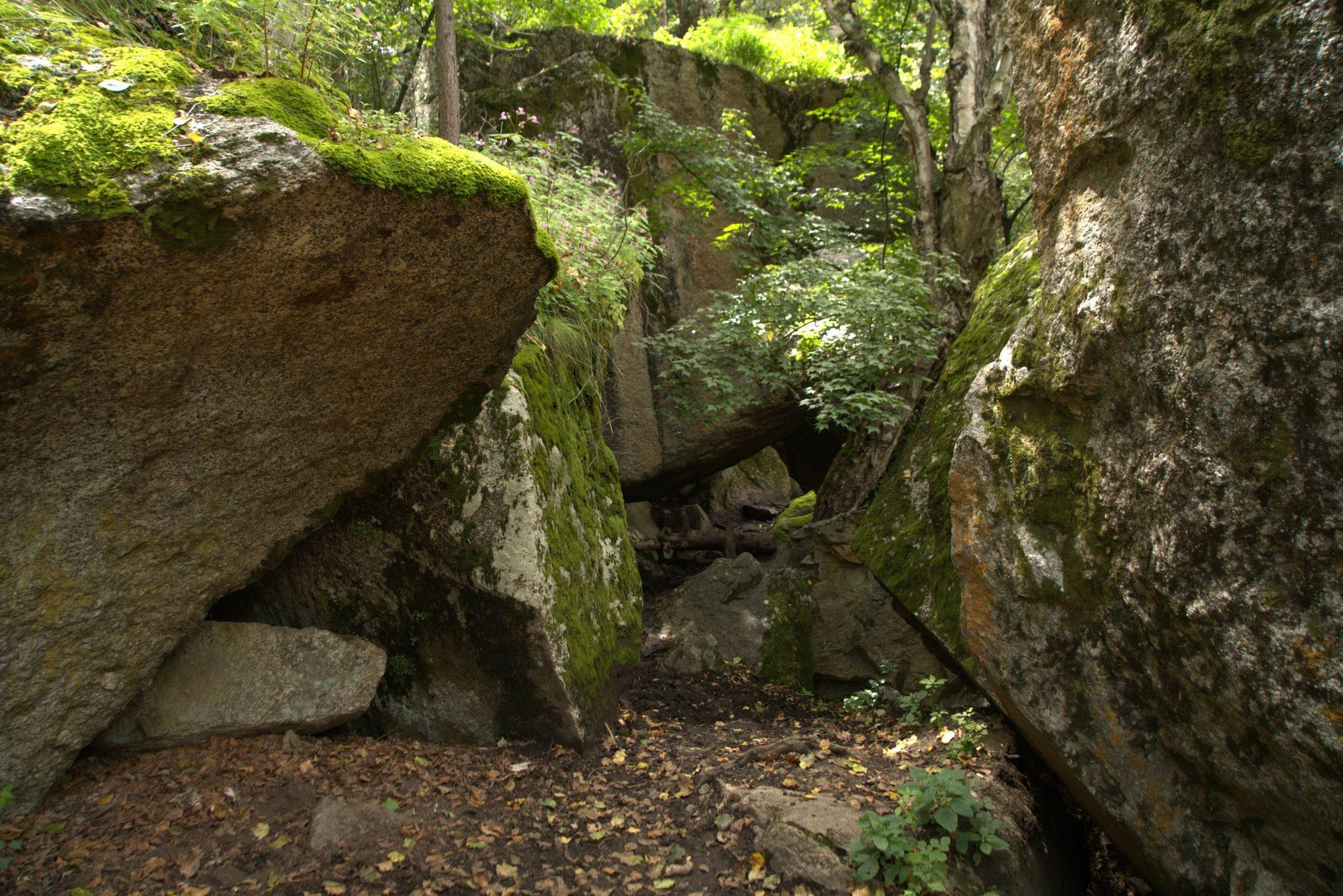 A boulder overhang draped in moss beside the path