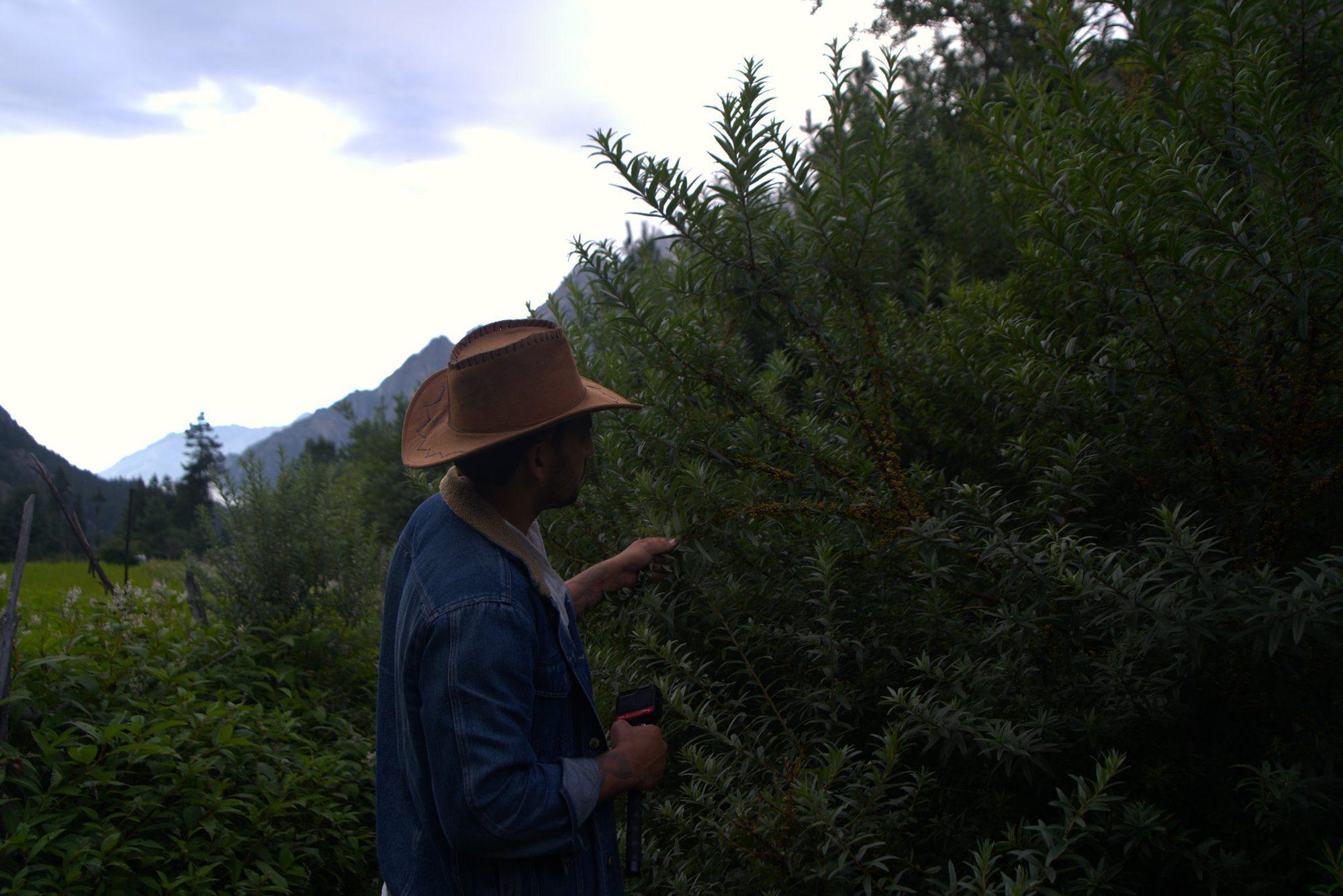 Seabuckthorn Trail & Tasting
