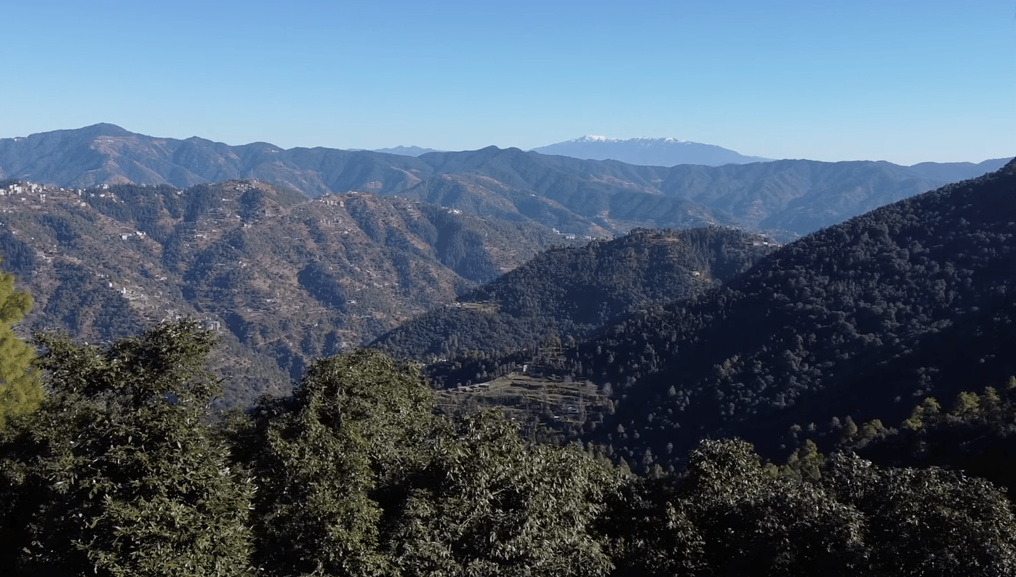 Hike through fragrant & shaded forest trail of Tara Devi