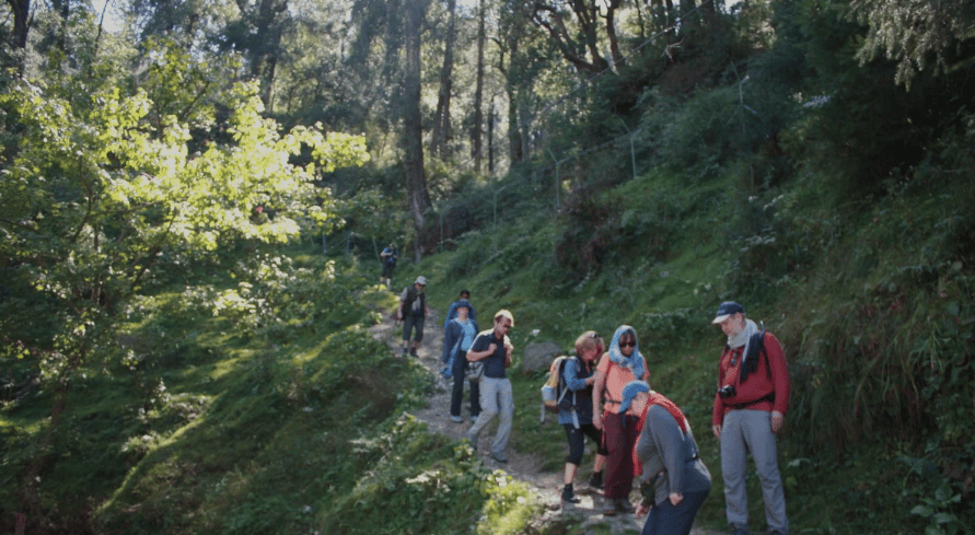 Forest Walk in Shimla