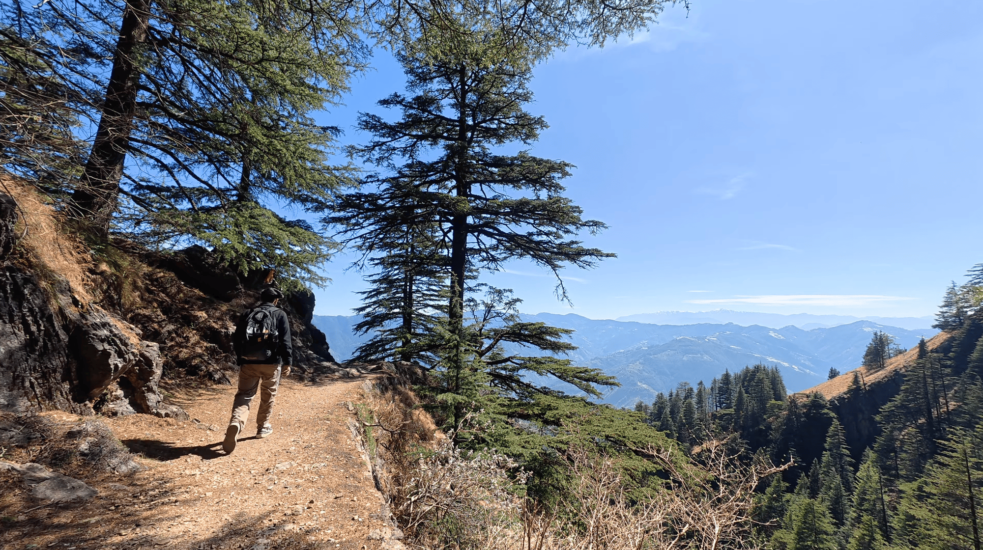 Hike to Shali for Forest, Ridge & a 360° Himalayan View