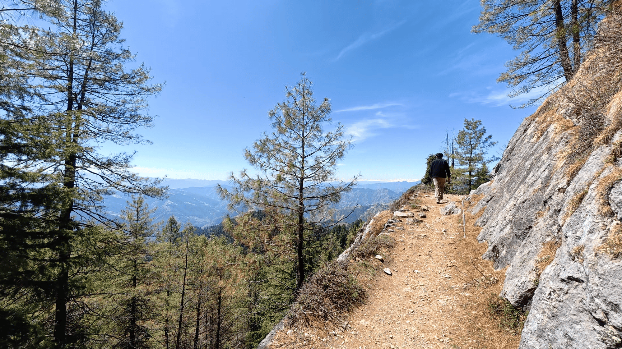 Hike to Shali for Forest, Ridge & a 360° Himalayan View