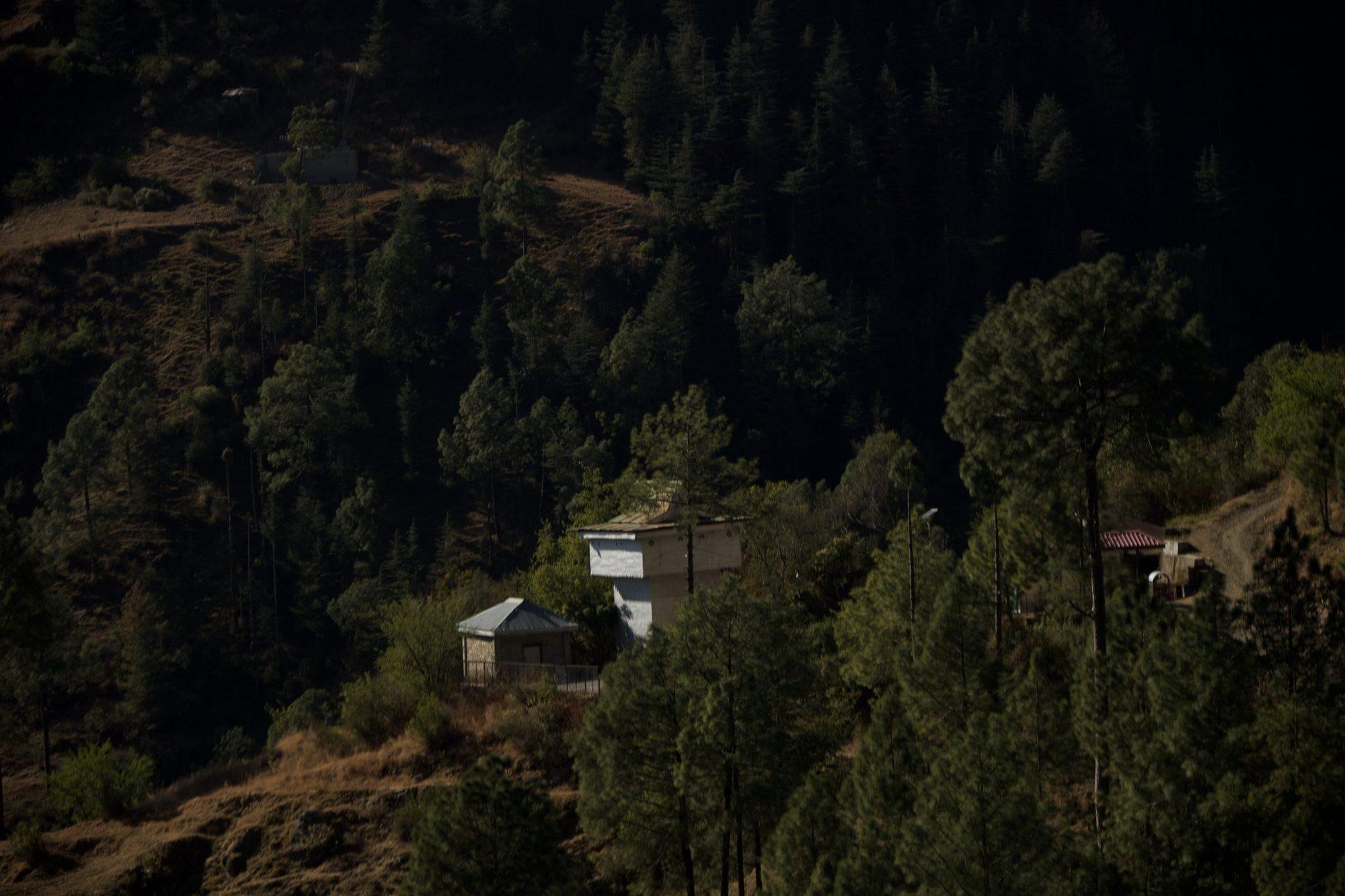 Deodar forest dense on the hillside above a lone house