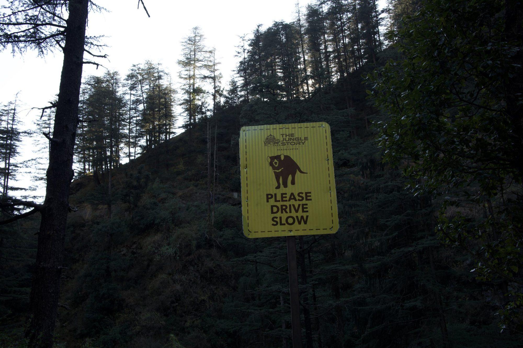 A leopard crossing sign among the deodars reading Please Drive Slow