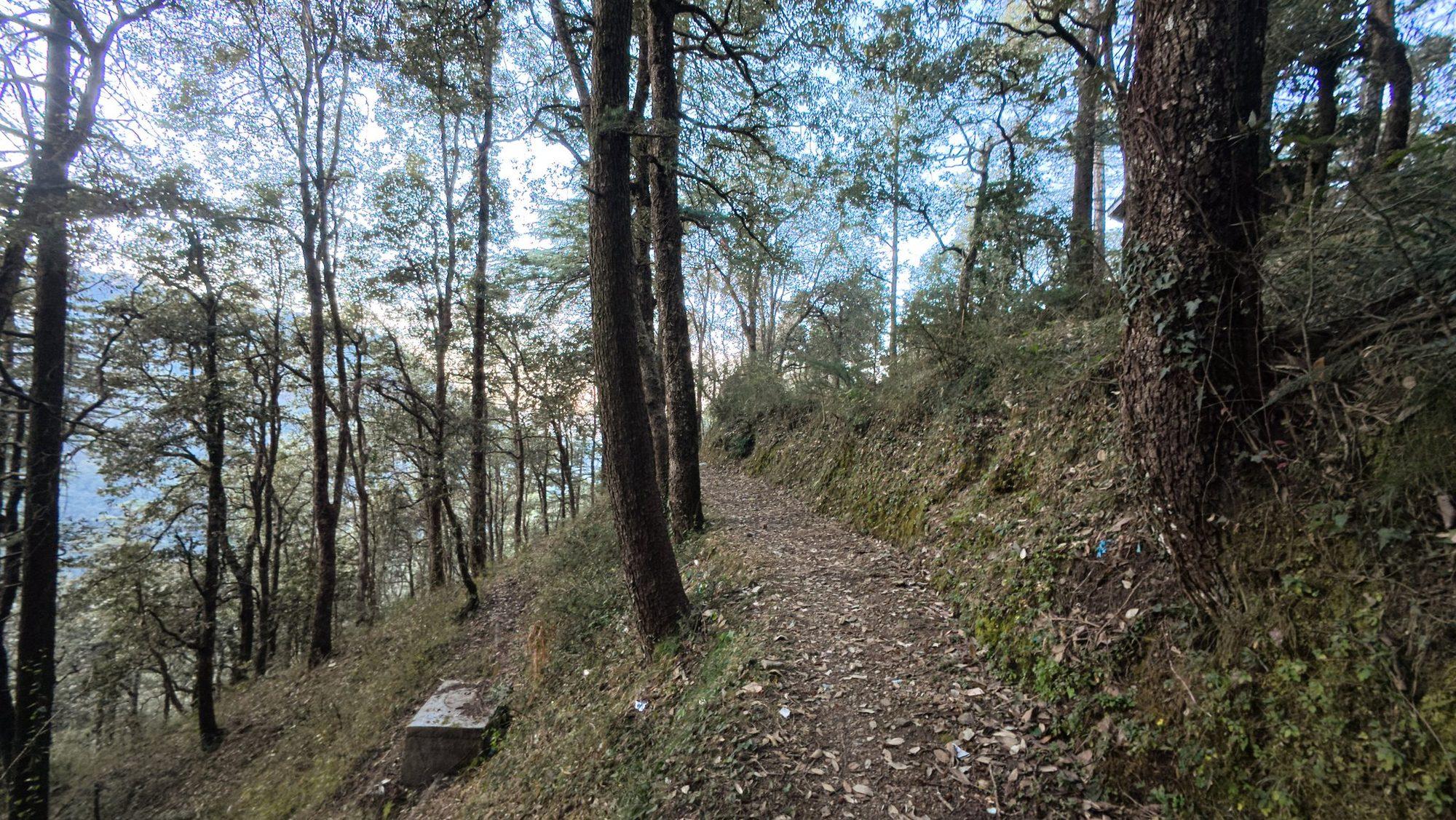 Glen Forest Walk and a Haunted Tunnel
