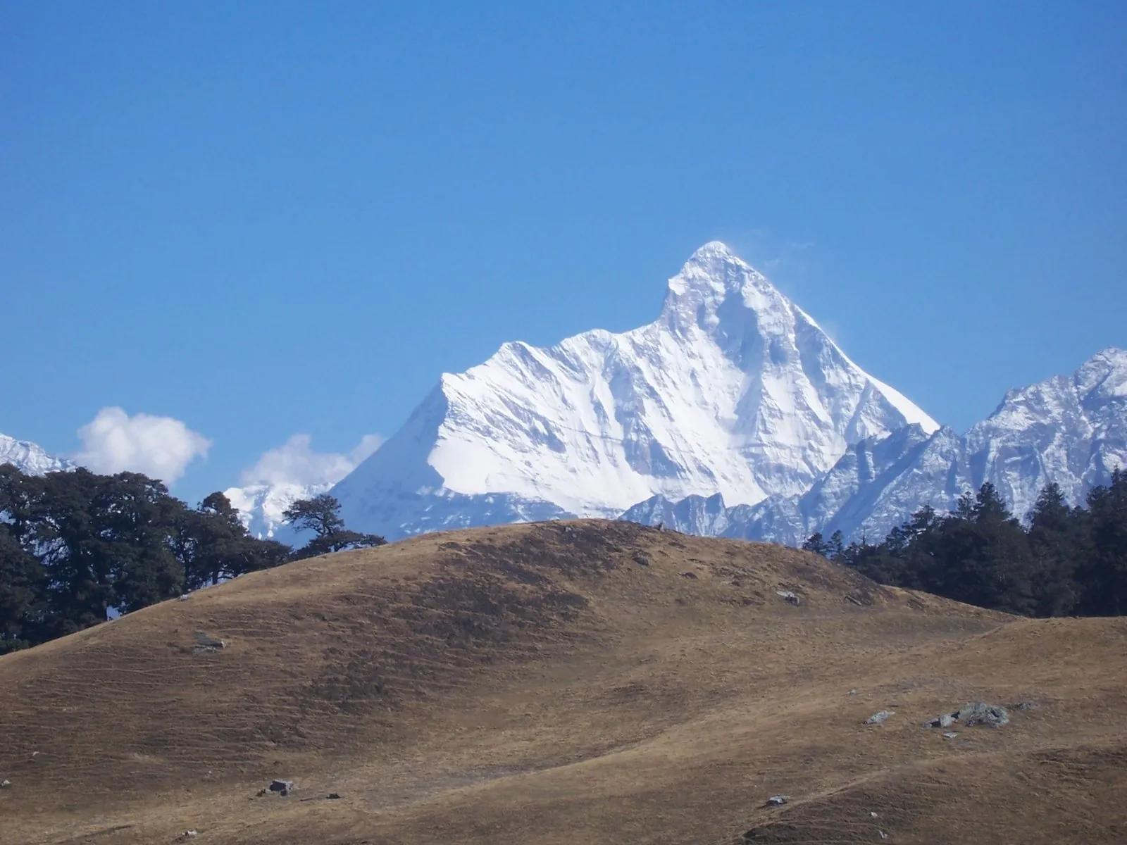 Nanda Devi peak rising above the golden Gorson bugyal near Auli, Uttarakhand