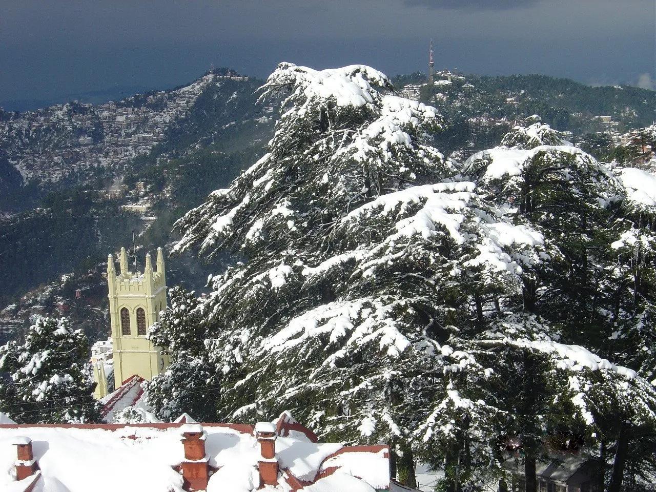 Snow-covered deodars and the yellow Gothic tower of a Shimla church above the snowbound town