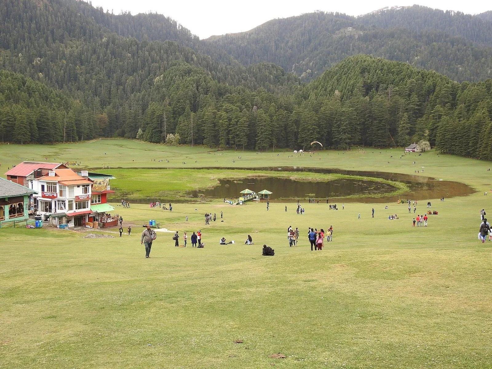 Khajjiar meadow from the slope above, with the lake at its centre, deodar forest walls, and a paraglider drifting in over the trees
