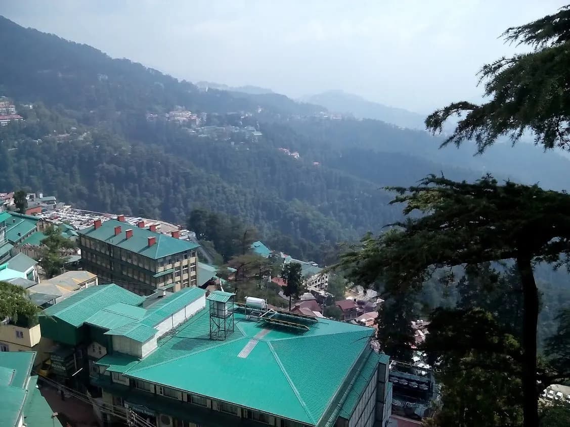 Shimla city rooftops emerging from deodar-covered hills under hazy monsoon skies, distant ridges shrouded in cloud