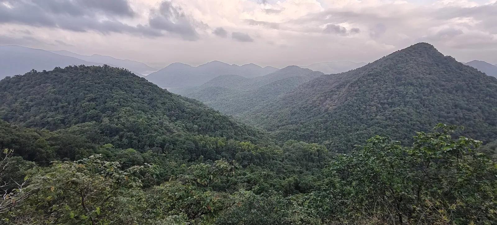 Forested Western Ghats hills receding in layers under a cloudy sky in the Mhadei Wildlife Sanctuary, Sattari, North Goa, dense green forest across the whole frame.
