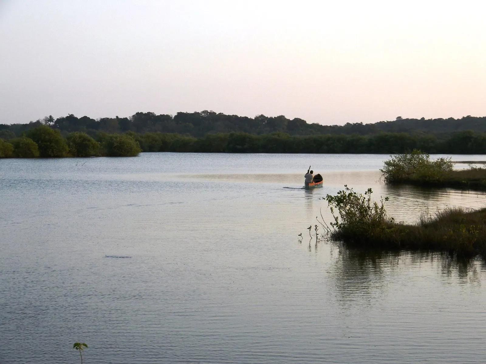 A calm North Goa backwater at dusk with mangrove-lined banks, a single person paddling a small canoe in the middle distance and a wading bird near the reeds.