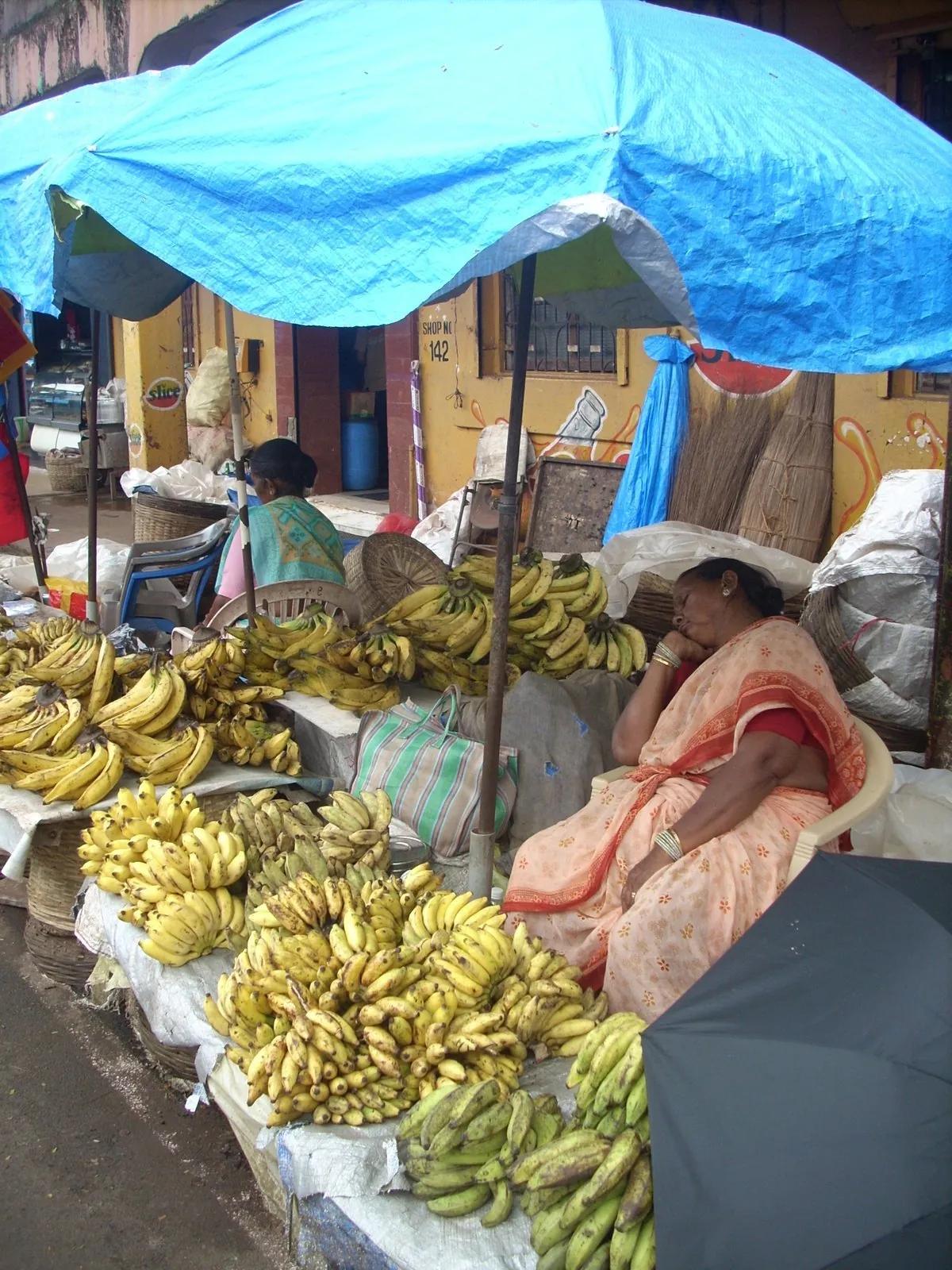 A woman in a sari seated behind a Mapusa market stall piled with many varieties of bananas, green and yellow, under a bright blue umbrella, the market behind