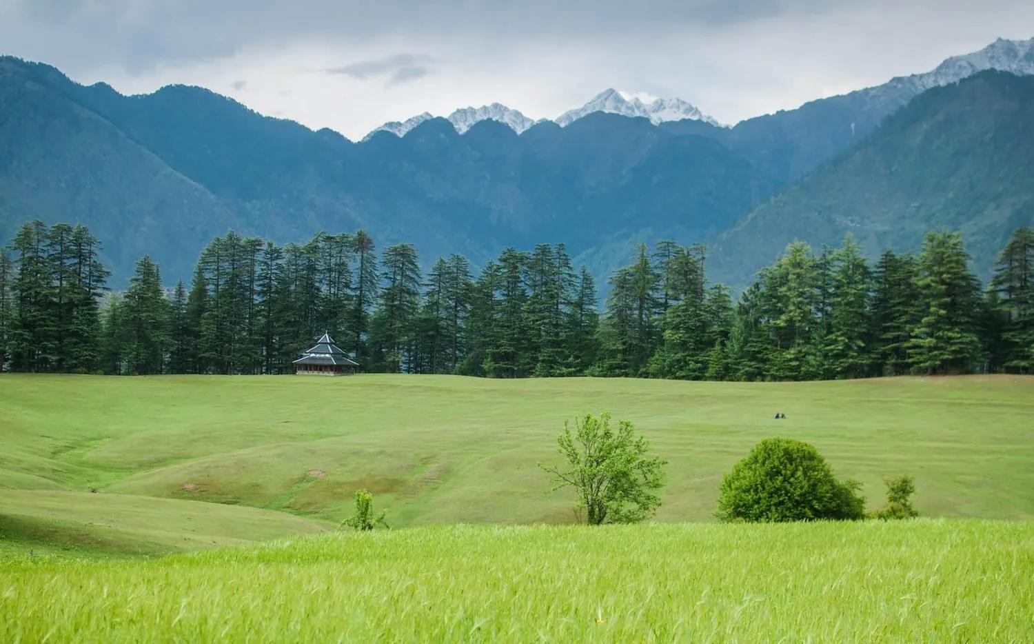 Shangarh meadow in Sainj Valley with the wooden Shangchul Mahadev temple and snow-capped peaks behind