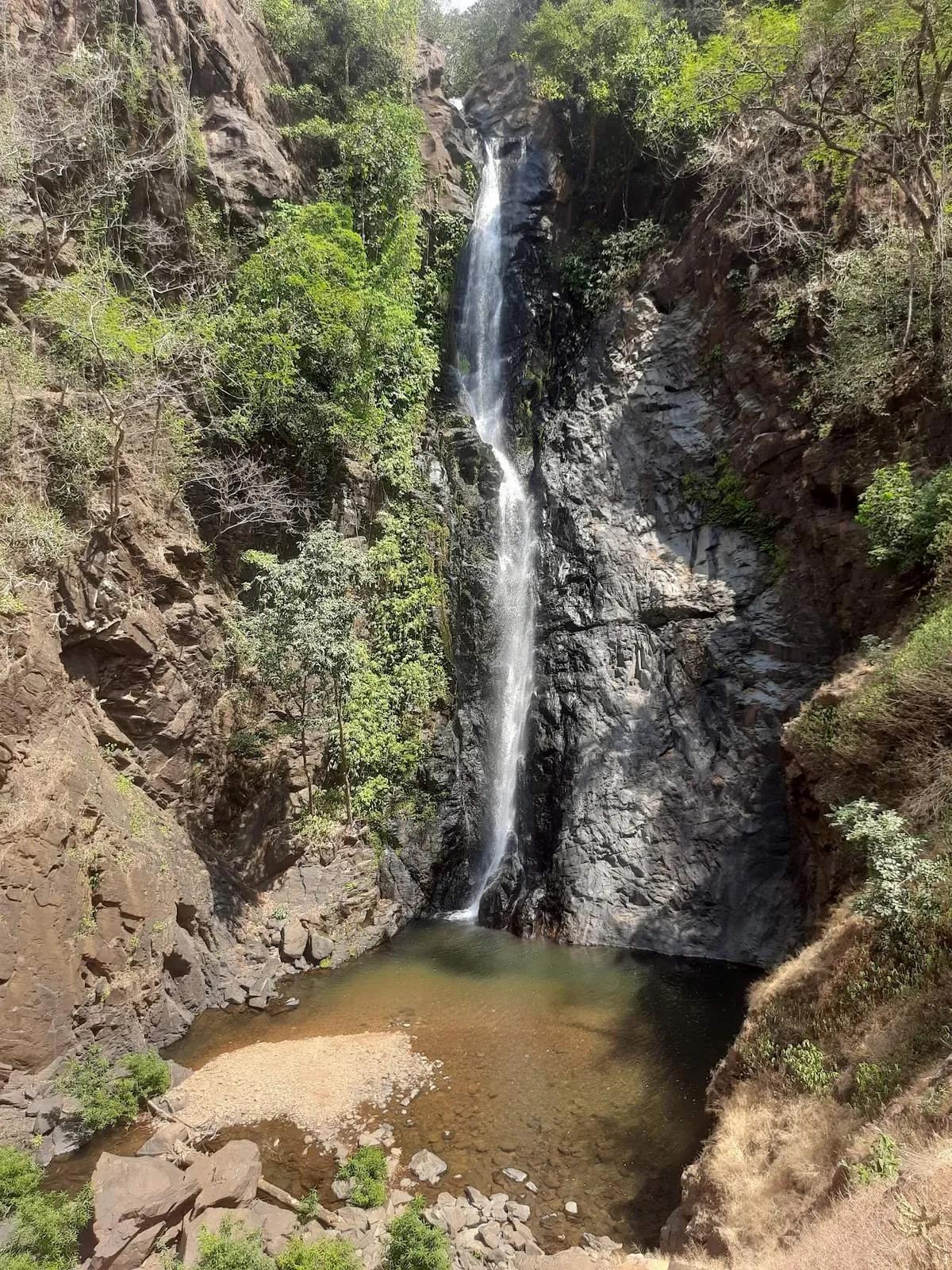 Mainapi Waterfall dropping through dense green forest in Netravali, South Goa