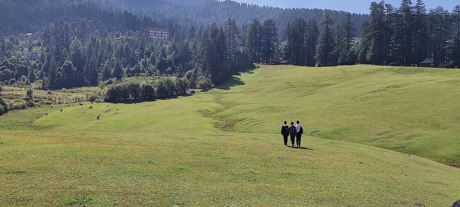 The quiet green holy meadow of Shangarh in Sainj Valley, Kullu, before the crowds arrive