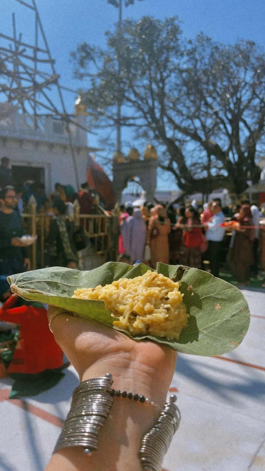 A hand holding a pattal leaf plate with sweet rice (meetha bhat) at the Mata Shri Naina Devi temple in Bilaspur, Himachal Pradesh — pattal is the traditional zero-waste leaf plate used at Dham feasts cooked by hereditary Boti chefs