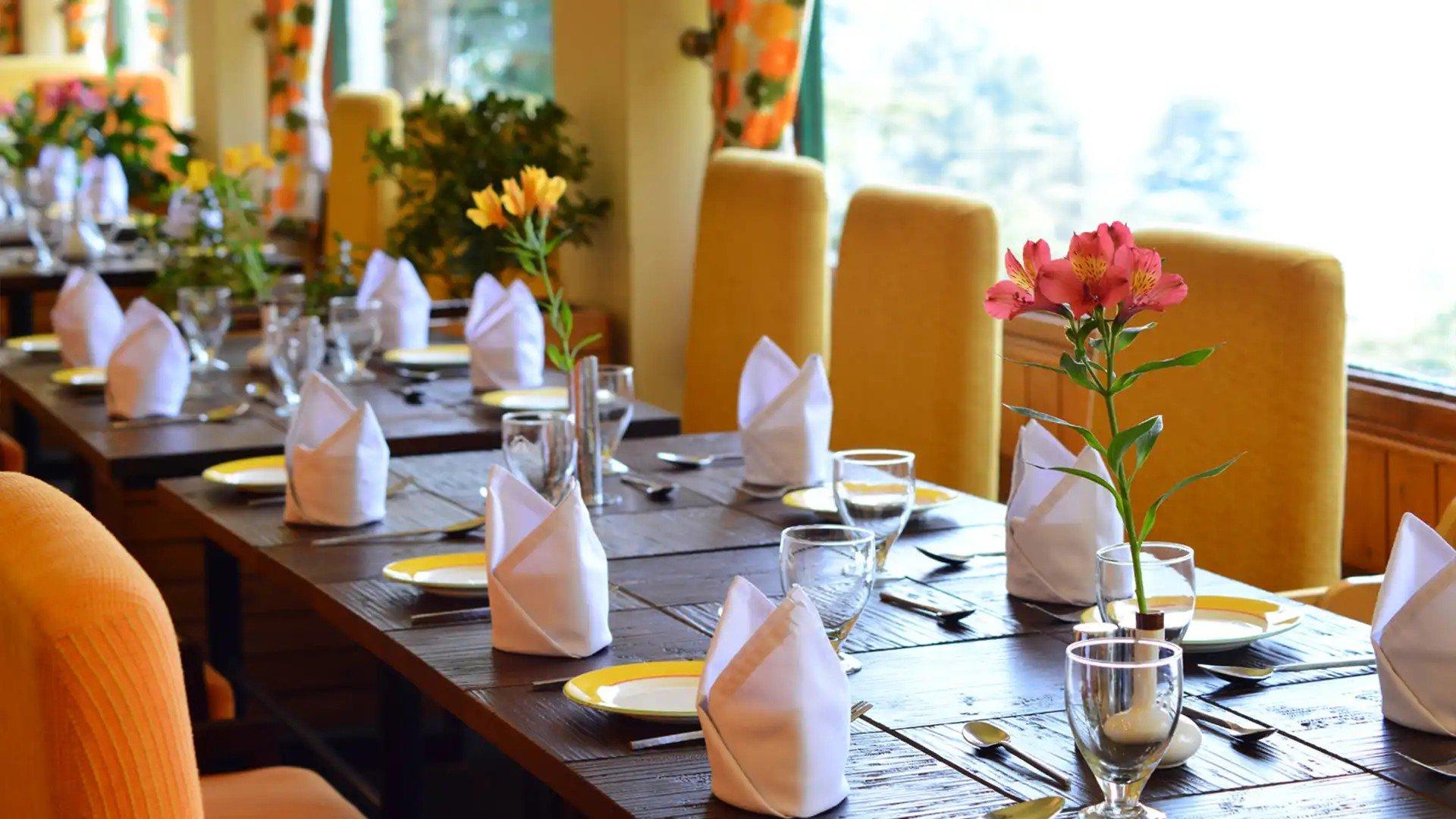 Dining & Cafe