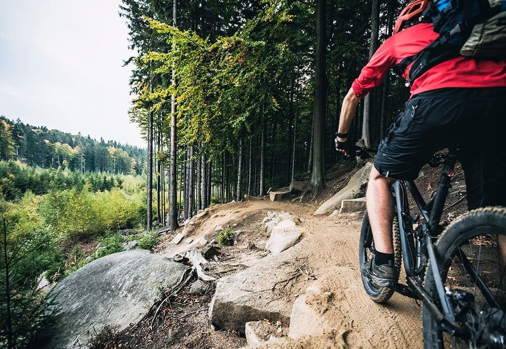 mountain biking
