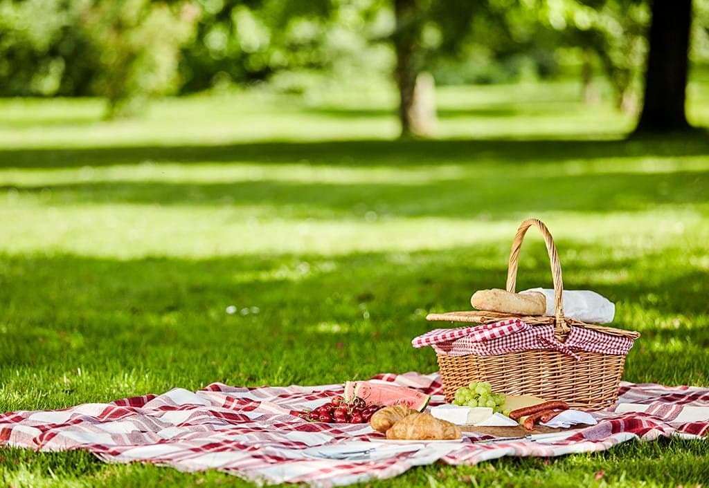 picnic glen forest