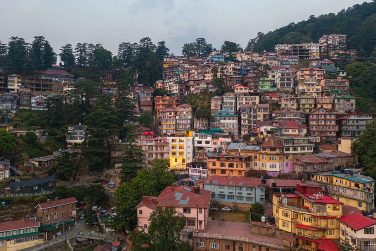 Wellness & Safety