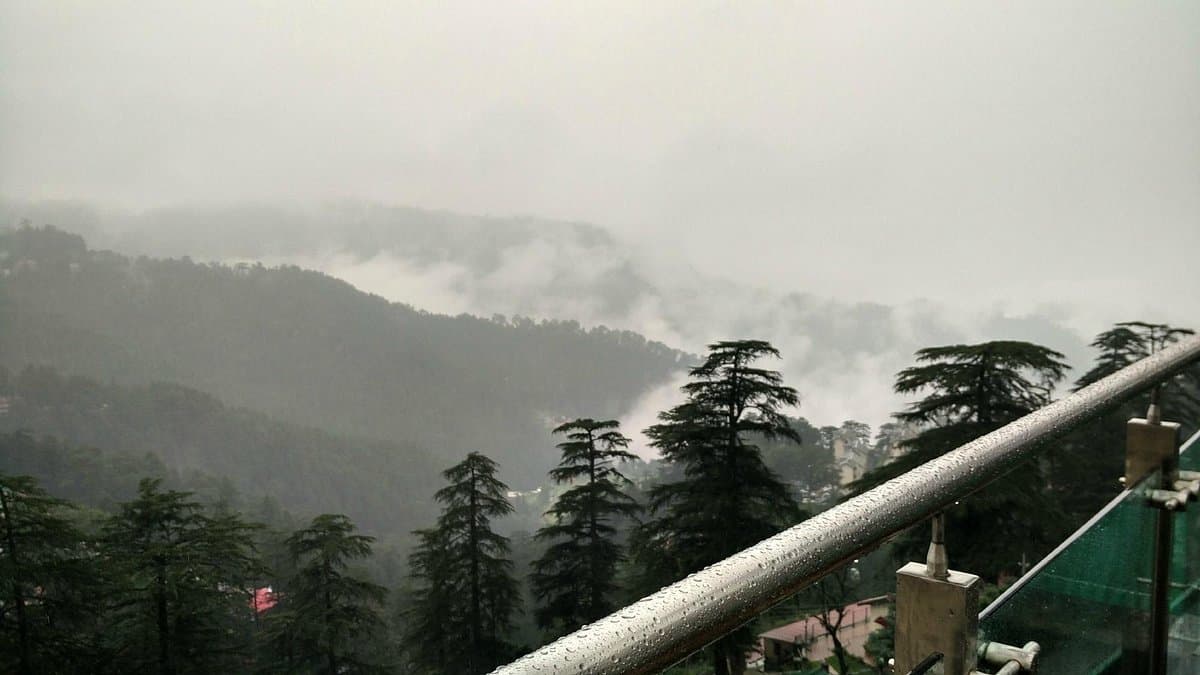 Mountain Wellness