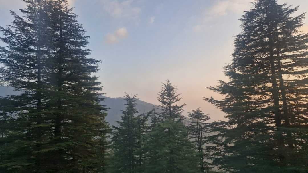 Mountain Activities & Discovery