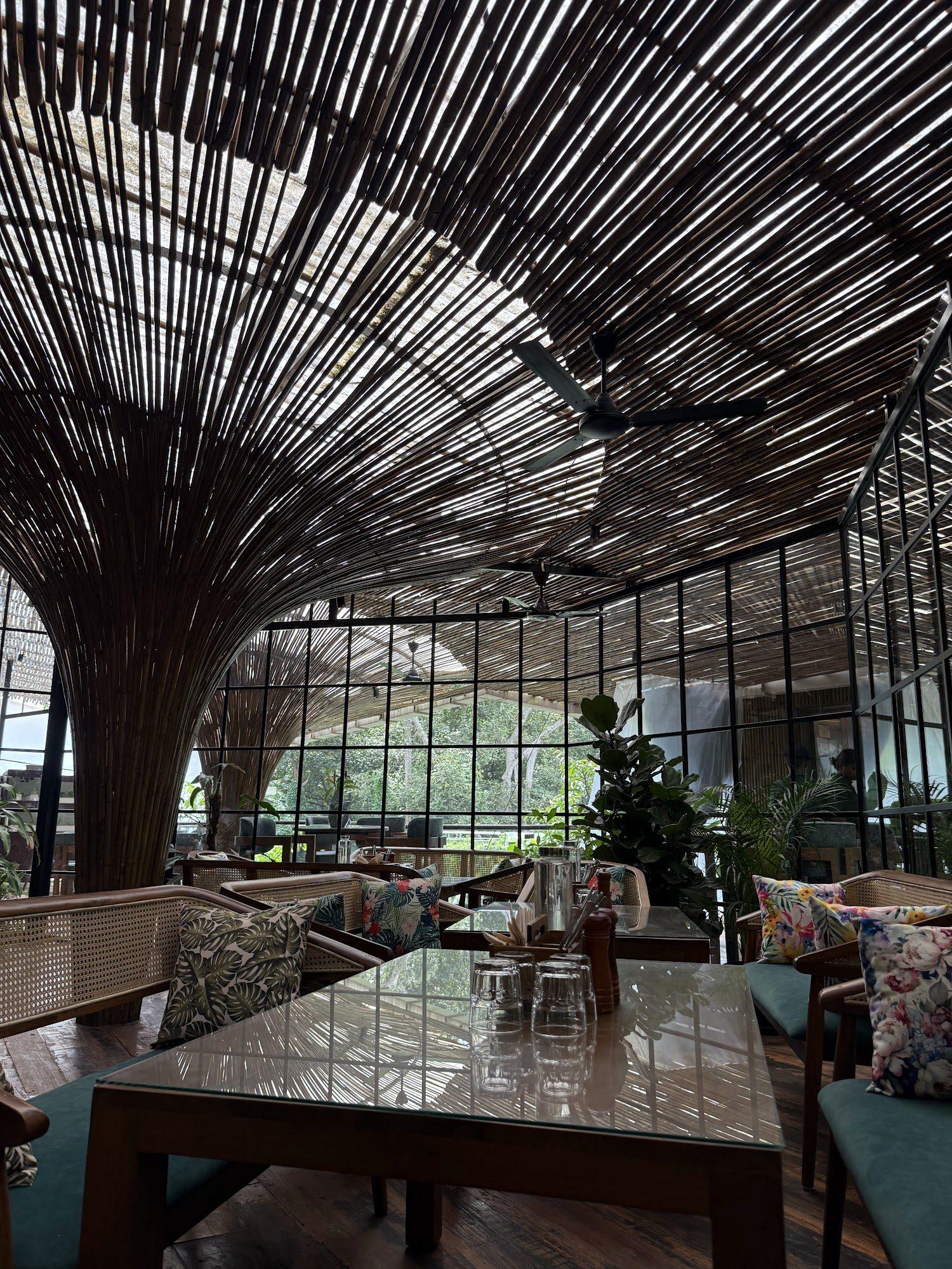 Dining at Elevé