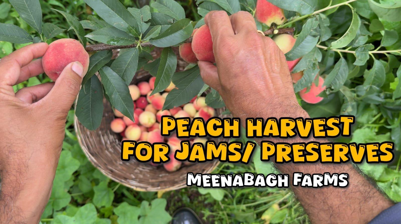 Pick and Preserve